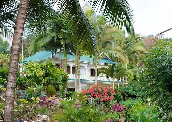 Evergreen Anse Royale