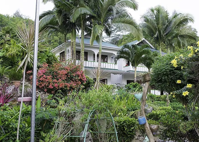 Evergreen Anse Royale